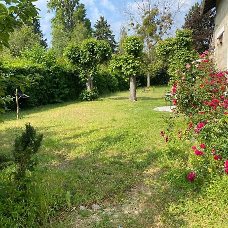 Studio Epicea Avec Jardin Dans Charmante Propriete Méry-sur-Oise Kültér fotó